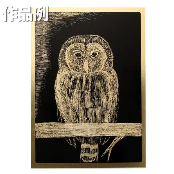 サイズ：200×270(内寸180×250)×厚さ1.2mm展示用ひも、ひも固定用シール付カッター使用を推奨印刷面が柔らかくニードルなどで軽くスクラッチでき、シャープな線がでます。紙の厚さは従来品より約3倍あり、天地・左右に10mmの白地の...