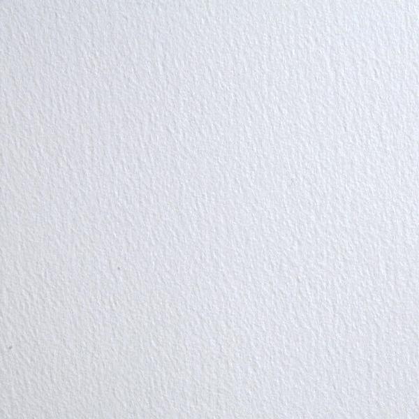 񂹕i NTJx Ogʎ   V[g 20 The Langton Kusakabe y ʉ Rbg z