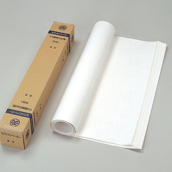 人気ブラドン ゴークラ 模造紙 50枚入 白