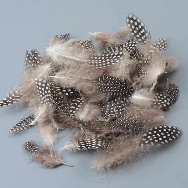 メール便可 鳥の羽根 フェザー ほろほろどり 材料 作品 羽 画材 ものづくりのアートロコ 通販 Yahoo ショッピング