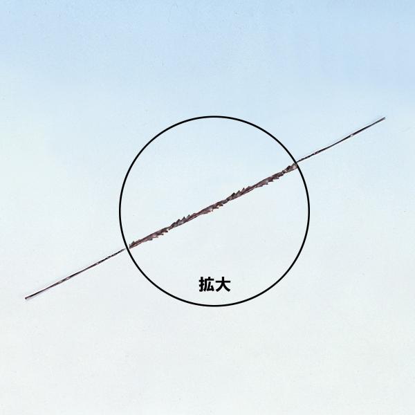 [ [։ ] d̂@Bp֐n cCXĝn 12{ y ̂ ֐n A~  S H z