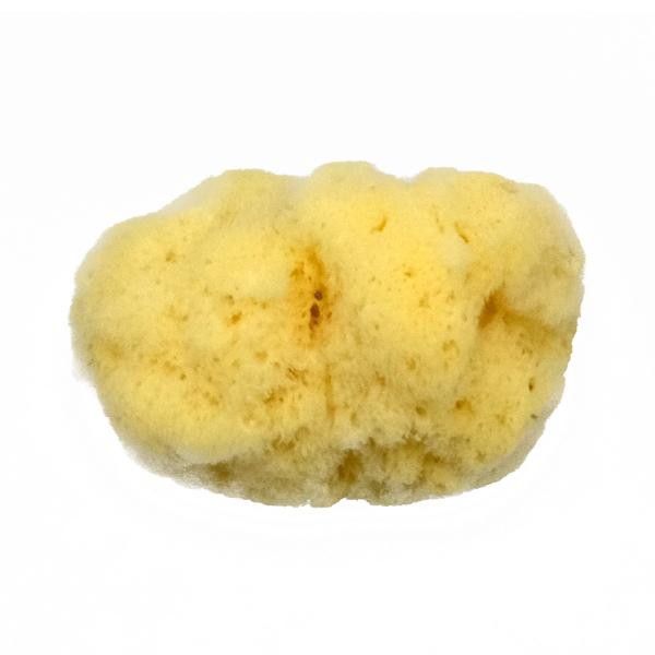 NTJx VRC ז 1 S-3 kusakabe y X|W VR R z