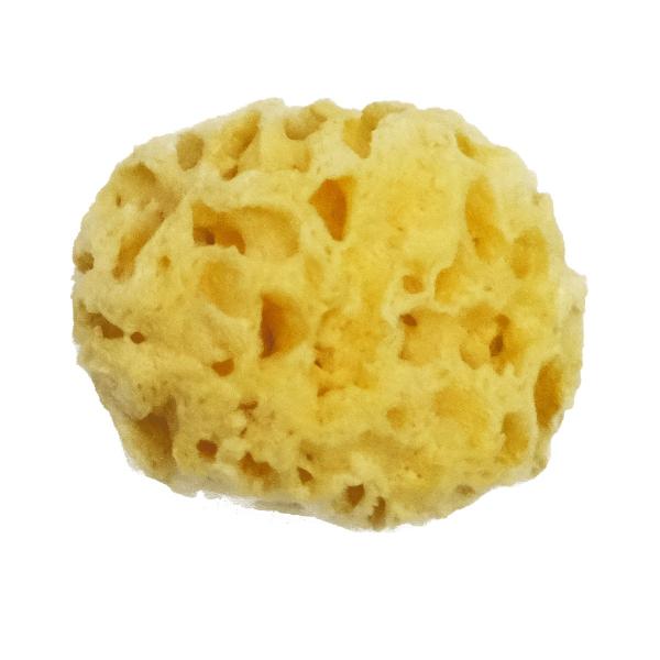 NTJx VRC r 1 W-4 kusakabe y X|W VR R z