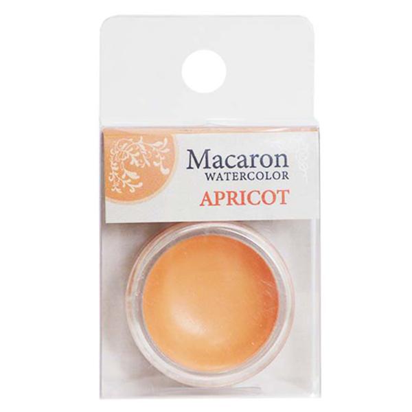 [ [։ ] NTJx }JJ[ Ō`ʊG 05 AvRbg Macaron WATERCOLOR KUSAKABE y pXe Ō`  G̋ G ̂ z