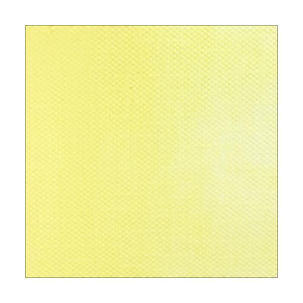 ~m[ G 9 40mL PF l[vXCG[ No36 NTJx mino y G̋  ̂ Pi ̂ G̋ z