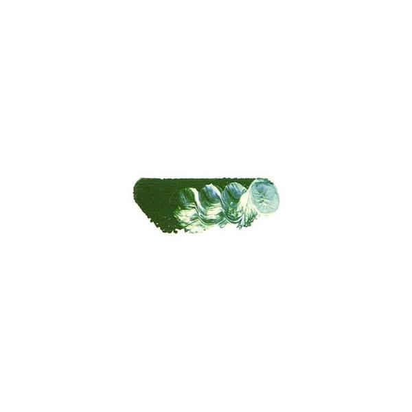 [ [։ ] }c_ X[p[G̋ RogO[fB[v 6 20ml 1{ y G  G c z
