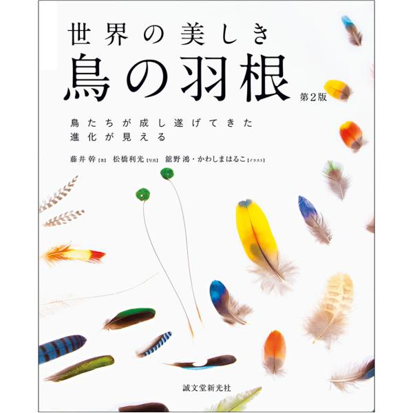 著者名：藤井 幹写真：松橋 利光判型：AB判(210mm × 257mm)ページ数：192世界の美しい鳥の羽根を写真とイラストで紹介。羽根の色や構造など、美しく進化してきた謎にせまります。色や形、構造など鳥の羽根の美しさの裏側にある進化の謎...