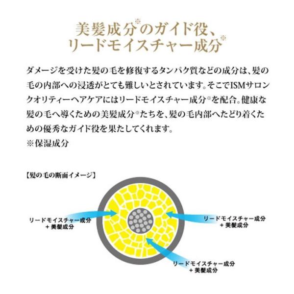 セット Ism イズム サロンクオリティーヘアケア シャンプー トリートメント セット アクアブルー 各600ml Buyee Buyee 日本の通販商品 オークションの代理入札 代理購入