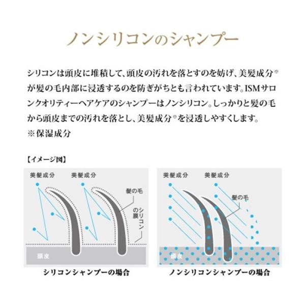 セット Ism イズム Ayumi Hamasaki サロンクオリティーヘアケア シャンプー トリートメントセット シュガーココナッツ 各600ml Buyee Buyee 日本の通販商品 オークションの代理入札 代理購入