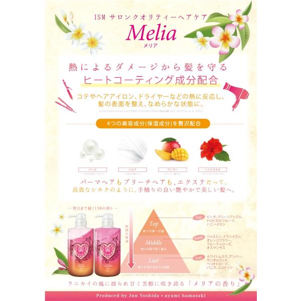 セット Ism イズム Ayumi Hamasaki サロンクオリティーヘアケア シャンプー トリートメントセット メリア 各600ml Buyee 日本代购平台 产品购物网站大全 Buyee一站式代购 Bot Online