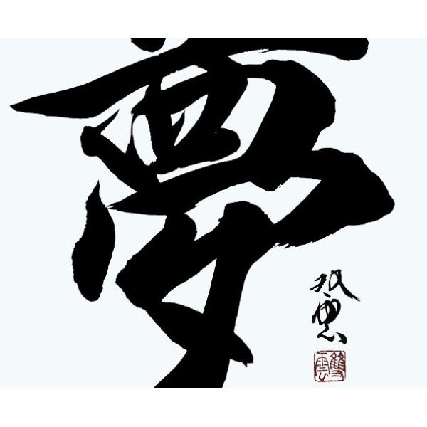 書道家 武田双雲 特大壁紙ウォールステッカー 文字 夢 Mサイズ シール 壁 壁紙 インテリア プレゼントにおすすめ Elmer Co Rs