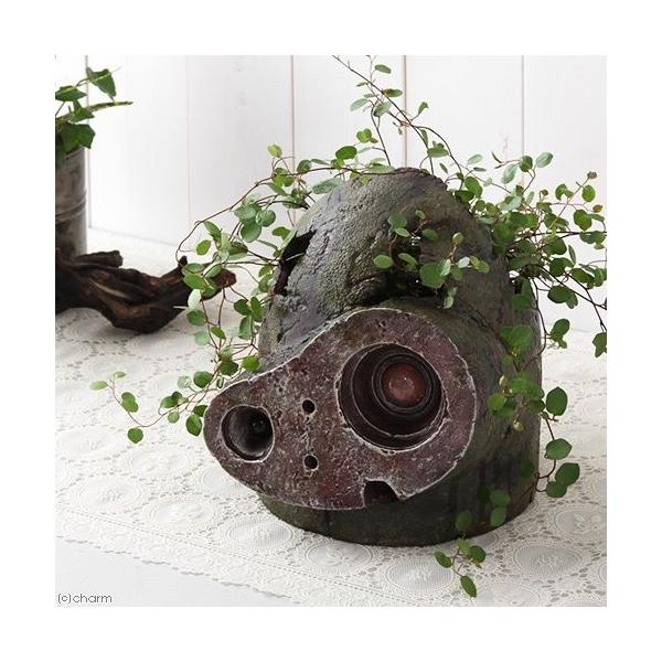 メーカー直送 ジブリ 天空の城ラピュタ ガーデニング プランターセット