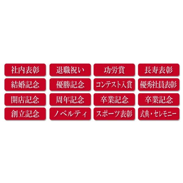 創立記念 文鎮 結婚祝い 日本製 ペーパーウェイト ピラミッド 周年記念 記念品 卒業記念 ギフト クリスタル 名入れ 企業記念 プレゼント Exuconsulting Ch