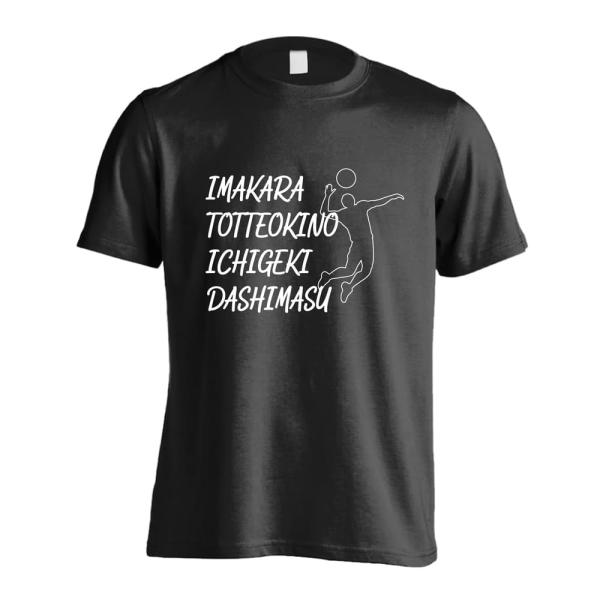 バレーボール Tシャツ ウェア 半袖 メンズ 練習着 「とっておきの一撃」 (AW)