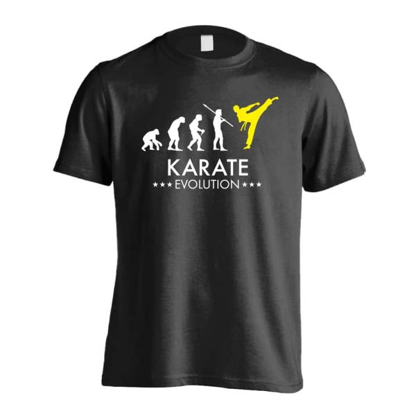 武道・格闘技 Tシャツ ウェア 半袖 メンズ 練習着 「空手エボリューション」 (AW)