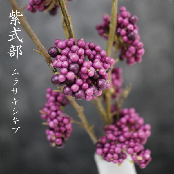 母の日のギフトやプレゼントに 人工観葉植物 ムラサキシキブ 紫式部のデザインポット おしゃれな花器付 消臭効果のct触媒 加工済み 無光触媒 母の日 新色