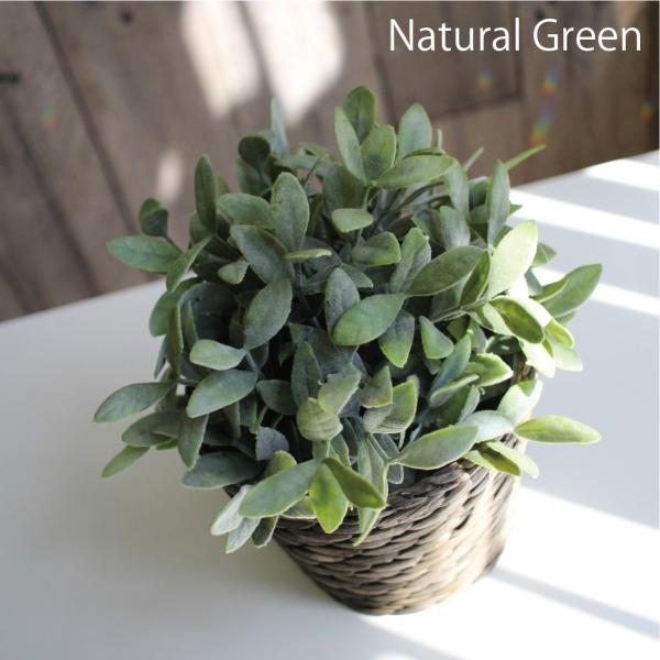 人工観葉植物 イケア Fejka Ikea Ikea 鉢カバー グリーン インテリアポット Jal 4585 おしゃれな花器付 消臭効果のct触媒 無光触媒 加工済みイケア Buyee Buyee 日本の通販商品 オークションの代理入札 代理購入