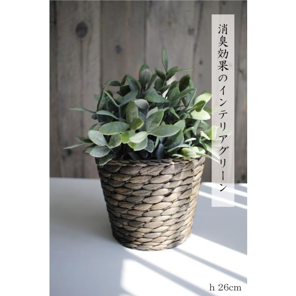 人工観葉植物 イケア Fejka Ikea Ikea 鉢カバー グリーン インテリアポット Jal 4585 おしゃれな花器付 消臭効果のct触媒 無光触媒 加工済みイケア Buyee Buyee 日本の通販商品 オークションの代理入札 代理購入