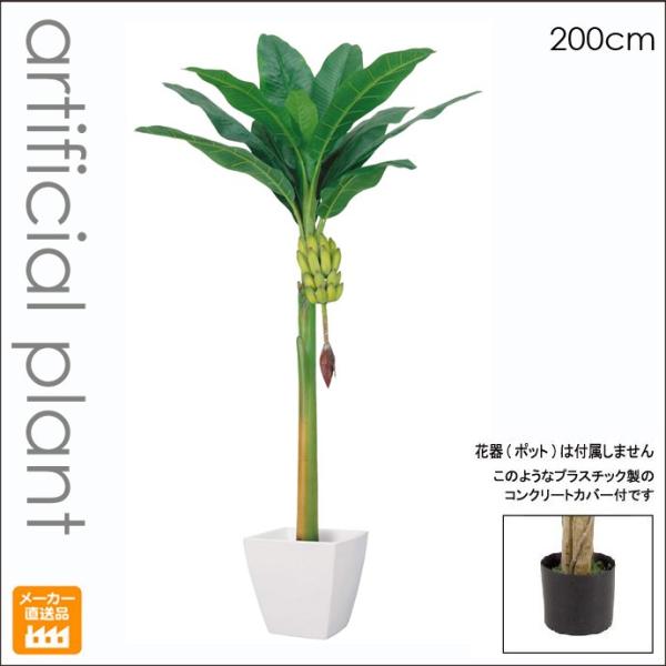 0cmバナナの木 人工観葉植物 房バナナ付き 造花 無光触媒 別途料金で 特売 Ct触媒加工可