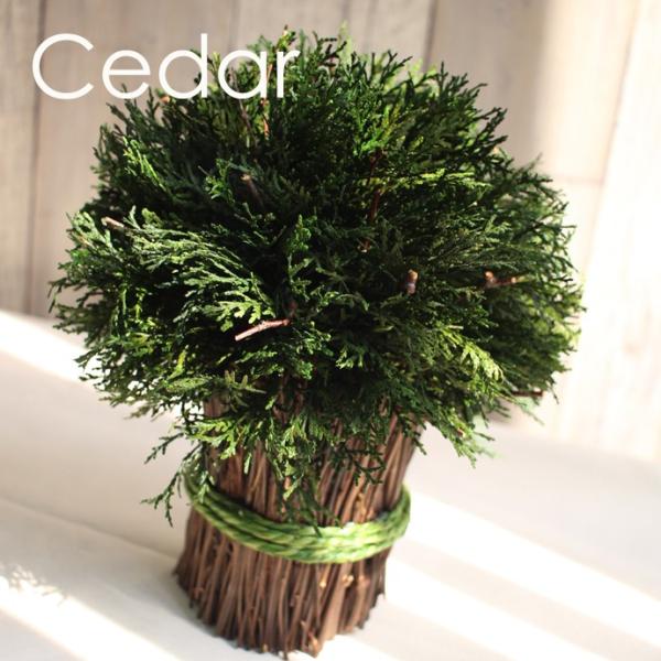 lHϗtA V_[cCO/V_[X^bNx[X cCO VRf ikeãCeA|bgt/CPA CTG}iG}jHς