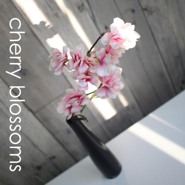 lHϗtAỹfUC|bgzȃIWitFCN /G} lHϗtA RہEREBX