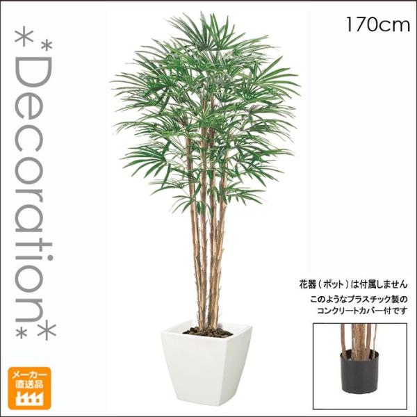 ^ lHϗtA  170cm VR؂̃V`Nc[ L| i`gN | ou[ CeAO[/ iʓrAG}/CTG}Hj