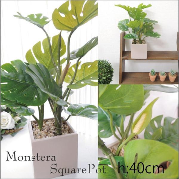 人工観葉植物 モンステラのインテリアポット 限定品 モンステラ 無光触媒 Ct触媒加工可 別途料金で