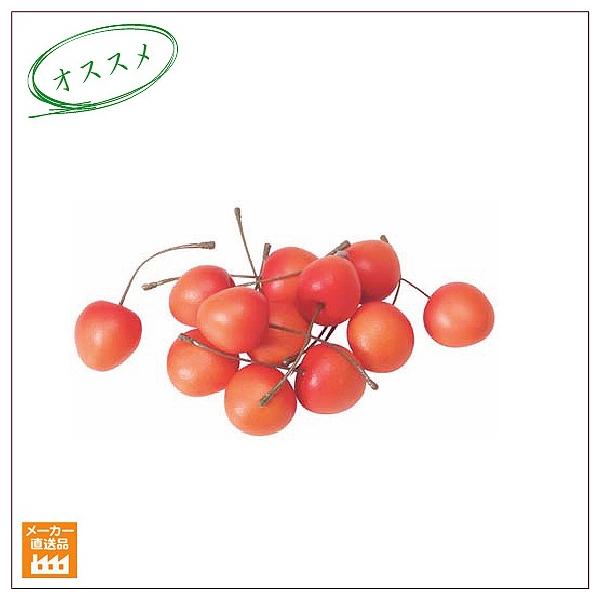 `F[/ 12pbN/tFCNt[h(HiTv)Xܑ fBXvCiʓrŁAG}/CTG}Hj