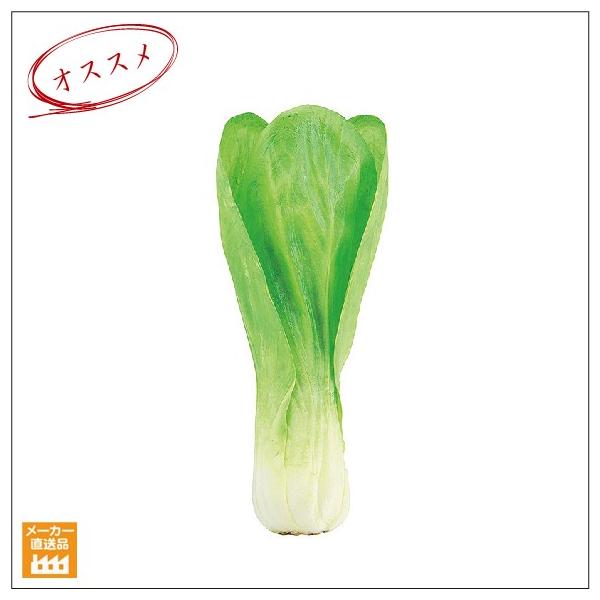 `Q /tFCNt[h(HiTv)Xܑ fBXvCiʓrŁAG}/CTG}Hj