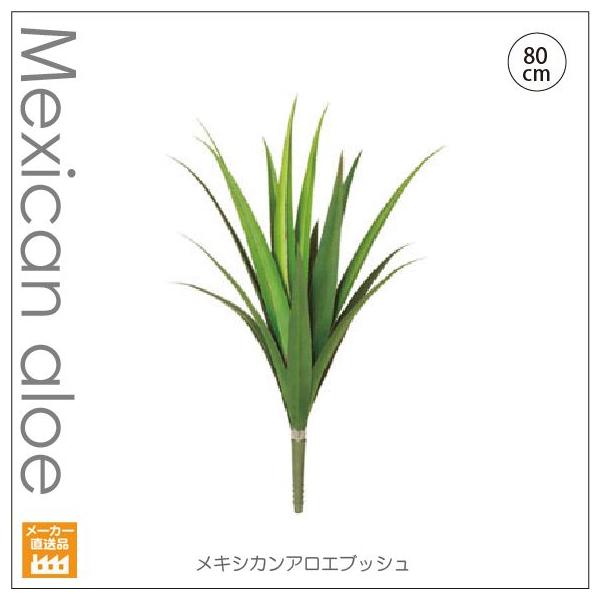 lHϗtA LVJAGubV80cm /CeAO[/ iʓrŁAG}/CTG}Hj