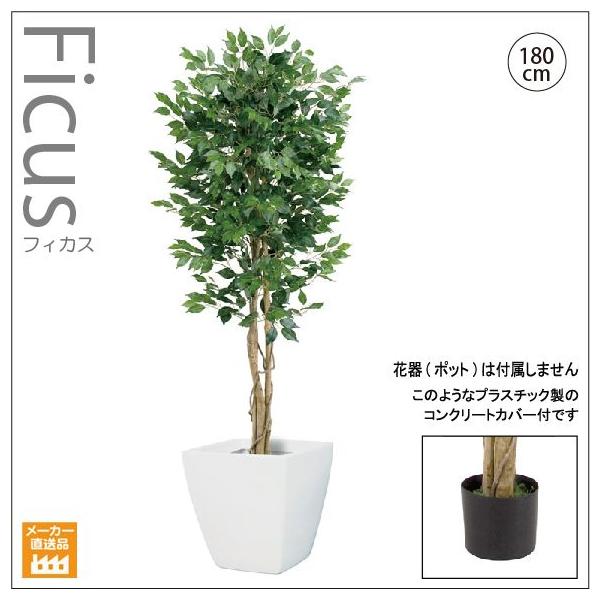 人工観葉植物/180cmナチュラルフィカスツリー/インテリアグリーン