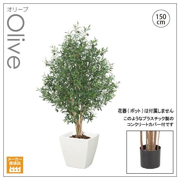 lHϗtA/i`I[uc[150cm   VR/CeAO[/ iʓrŁAG}/CTG}Hj