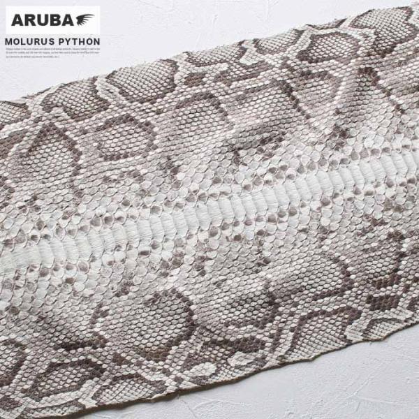aruba-2019_mpskin2