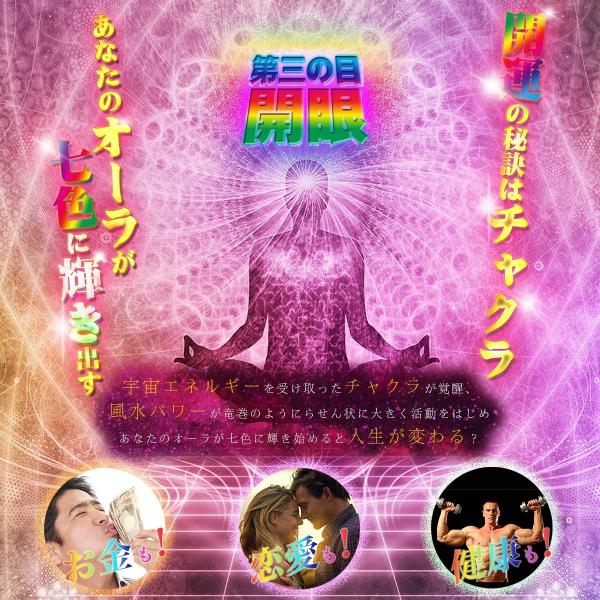 フランク三浦 財布 長財布 開運祈願 金運アップ 風水 ビックマネーゴールド 奇跡の財布 21年モデル Buyee Buyee 日本の通販商品 オークションの代理入札 代理購入