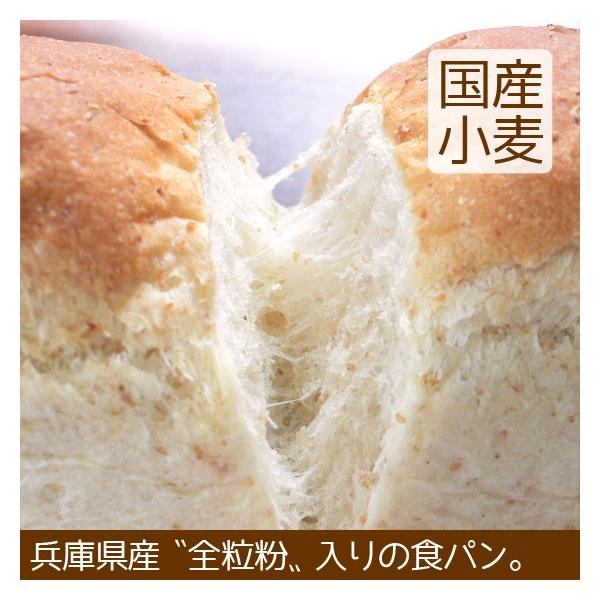 Hp S kCY sgp ߂ _N[|L^