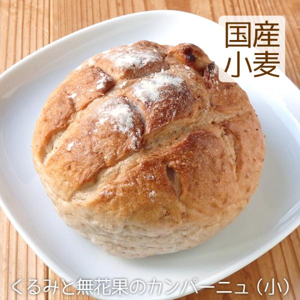 カンパーニュ（小）パン 国産小麦 全粒粉 くるみ いちじく入り 卵不使用 こうめや ＼クーポン有／