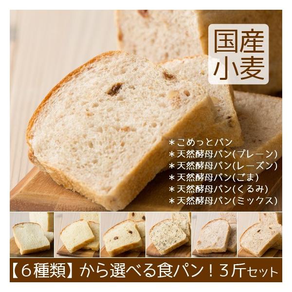 Hp  Zbg sgp ߂ _N[|L^