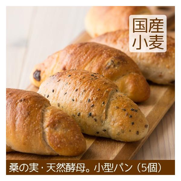 VRyp ^ 5 kCY }[Ksgp sgp sgp ߂ _N[|L^