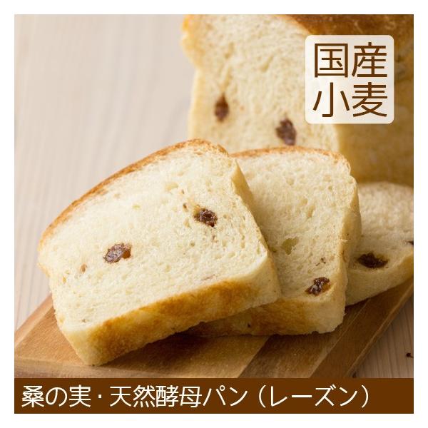 _N[|L^ Hp VRyp [Y kCY }[Ksgp sgp sgp ߂ _N[|L^