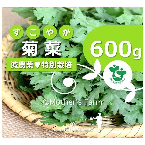 兵庫県産 健やか旬野菜家族に食べさせたい 菊菜きくな春菊農薬90 カット特別栽培 600g 代購幫