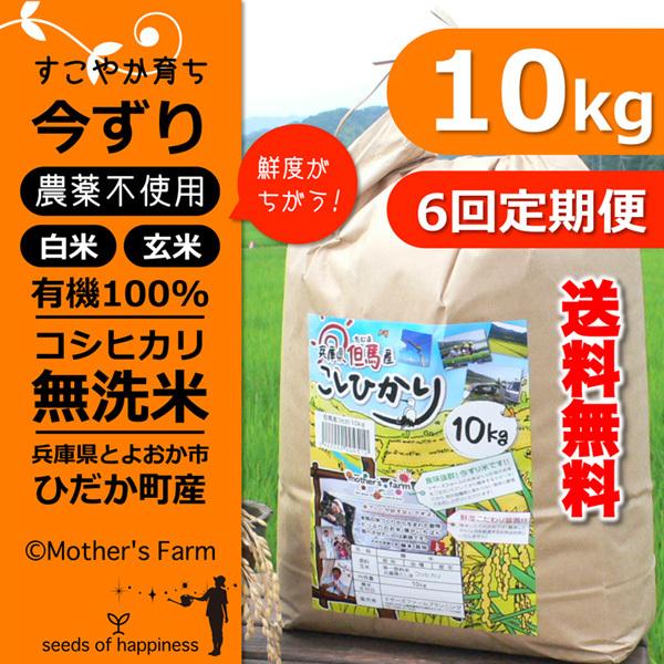 定期購入 無洗米 10kgx6回 玄米 白米 今ずり米 農薬不使用 コシヒカリ 令和3年産 送料無料