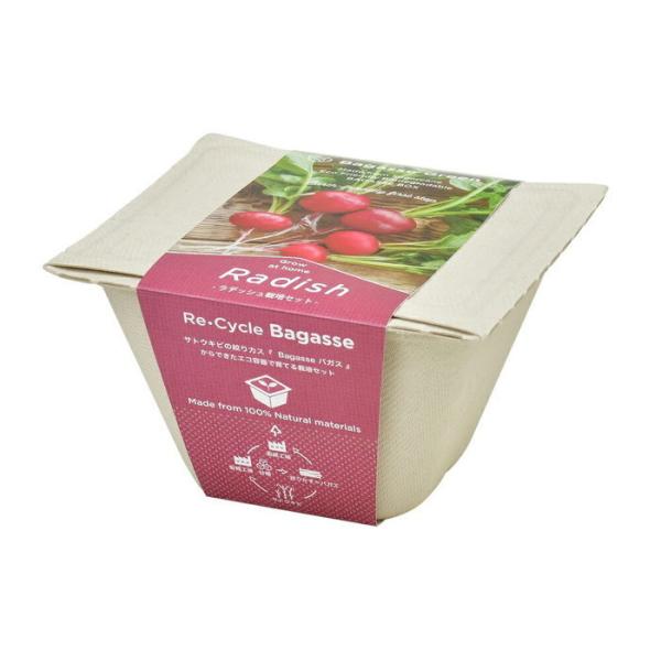 V| GD-95301 oKXO[ fBbV GReňĂ؍͔|Zbg  ϗtA K[f