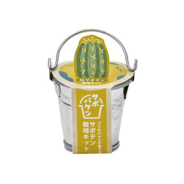 サボバケツ栽培キット 柱サボテン GD-103402 聖新陶芸 栽培セットギフト プレゼント