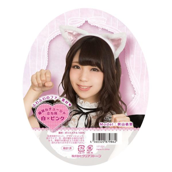 ([1܂)LJ`[V  ×sN   RXv ߑ  Aj} RX`[ AN