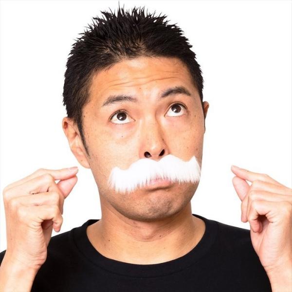 宴会の達人 紳士なひげ 白 変装 おもしろグッズ おもしろ雑貨