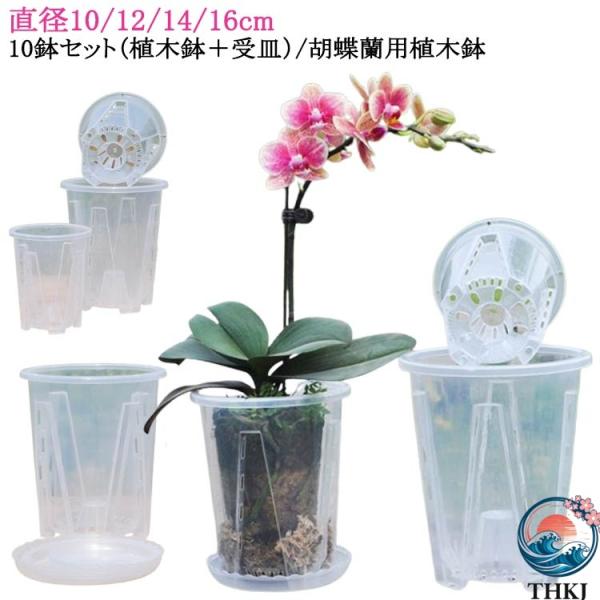 オーキッドポット 胡蝶蘭の植え替え 胡蝶蘭鉢 受皿付き 洋蘭鉢  胡蝶蘭 育苗ポット 屋外 透明 植木鉢 10鉢セット セット 蘭の鉢 使いやすい 便利