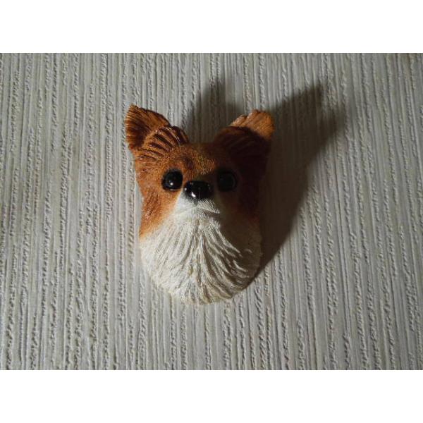 犬の顔 パピヨン 茶色 わんちゃんフェイス リアルフェイス 犬