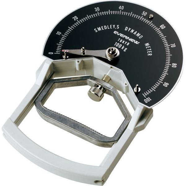 Goj[iEvernewj@EKJ080@͌vES-100@19SS