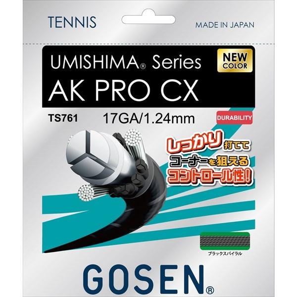 GOSEN�i�S�[�Z���j�@TS761BKS�@�e�j�X�@�K�b�g�@�E�~�V�} AK �v�� CX 17�@19SS