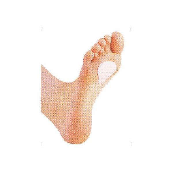 rnqani\{j@\{NbVpbh p@65241@13SS